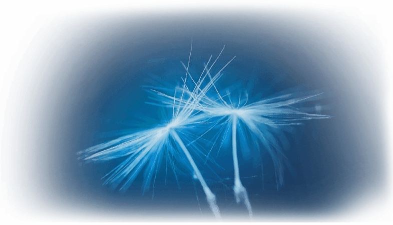 womens-health-header--785x450 womens-health-header--785x450